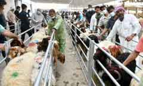 അ​റ​വു​ശാ​ല​യി​ൽ വ​ൻ തി​ര​ക്ക്​; ഒ​രു​മി​ച്ചെ​ത്ത​രു​തെ​ന്ന്​ അ​ധി​കൃ​ത​ർ