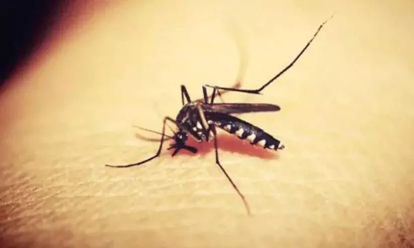 മൂ​ന്നു​പേ​ര്‍ക്കു​കൂ​ടി സി​ക സ്​ഥിരീകരിച്ചു