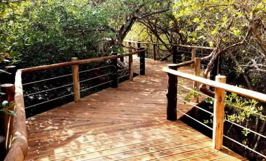 ഖോര്‍കല്‍ബ മാന്‍ഗ്രൂവ് സെൻറര്‍