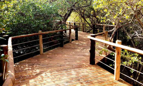 ഖോര്‍കല്‍ബ മാന്‍ഗ്രൂവ് സെൻറര്‍