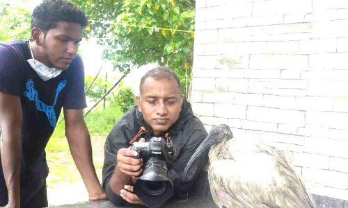 നൈലോണ്‍ നൂലില്‍ കുരുങ്ങിയ പക്ഷിക്ക് പുതുജീവനേകി യുവാക്കള്‍