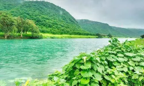 സലാലയിൽ മികച്ച കാലാവസ്ഥ: കർഷകർ പ്രതീക്ഷയിൽ