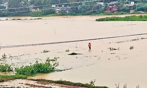 പ​ന​മ​രം പു​ഴ​യി​ൽ ജ​ല​നി​ര​പ്പ് ഉ​യ​രു​ന്നു; ആ​ധി​യും