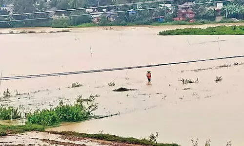 പ​ന​മ​രം പു​ഴ​യി​ൽ ജ​ല​നി​ര​പ്പ് ഉ​യ​രു​ന്നു; ആ​ധി​യും