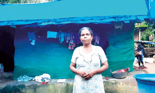 പെ​രും​മ​ഴ​യി​ലും അ​മ്മി​ണി പ്ലാ​സ്​​റ്റി​ക് കൂ​ര​യിൽ