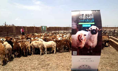 ഖത്തർ റെഡ്ക്രസൻറ് ഉദ്ഹിയ്യത്​: സുഡാനിൽ 4500 കുടുംബങ്ങൾക്ക്​ ആശ്വാസമായി