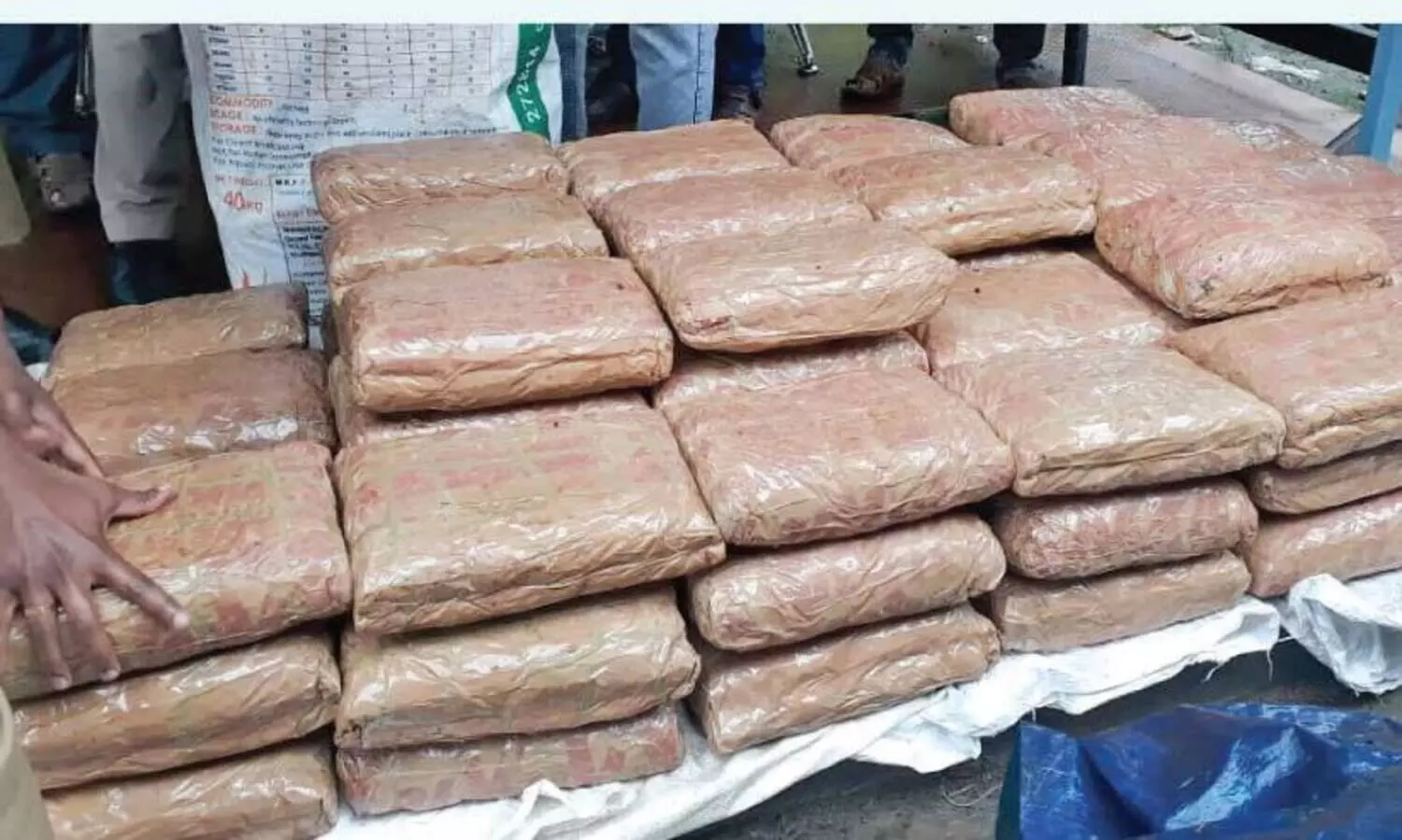 211 കിലോ കഞ്ചാവുമായി അഞ്ചുപേർ പിടിയിൽ