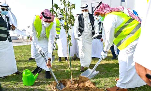 വ്യ​ത്യ​സ്​​ത കാ​ലാ​വ​സ്​​ഥ​യി​ൽ സൗ​ദി