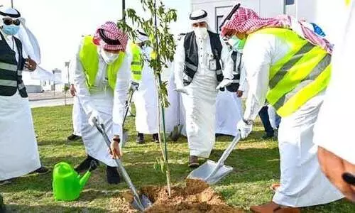 വ്യ​ത്യ​സ്​​ത കാ​ലാ​വ​സ്​​ഥ​യി​ൽ സൗ​ദി