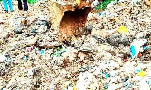 കൊന്ന് കുഴിച്ചുമൂടിയത്; നൂറുകണക്കിന് തെരുവുനായ്ക്കളെ