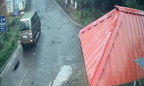 നാ​യയെ കാ​റി​ന്​ പി​ന്നി​ൽ കെട്ടിവലിച്ച സംഭവത്തിൽ പ്രതി അറസ്റ്റിൽ