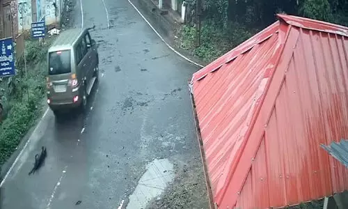 നാ​യയെ കാ​റി​ന്​ പി​ന്നി​ൽ കെട്ടിവലിച്ച സംഭവത്തിൽ പ്രതി അറസ്റ്റിൽ