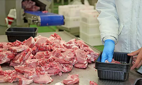 ഇനിയും വന്നില്ല നഗരത്തിൽ ആധുനിക അറവുശാല