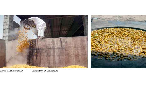 തബ്സീലിന്​ ആഹ്ലാദകരമായ പരിസമാപ്തി