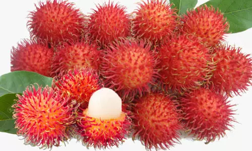 വിപണി ലഭിക്കാതെ റംബൂട്ടാൻ കർഷകർ എന്തൂട്ട്   ചെയ്യാനാ