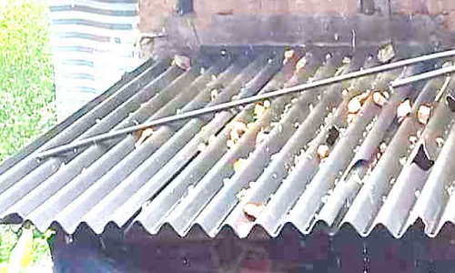 വീടുകൾക്ക് മുകളിൽ കല്ലു​മഴ; കുടുംബങ്ങളെ മാറ്റിപാർപ്പിച്ചു  ഭൗമശാസ്ത്ര സംഘം ഇന്നെത്തും