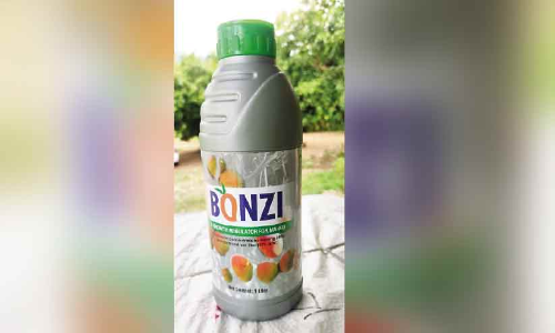 മാവ് പൂക്കാൻ ഹോർമോൺ; ബോധവത്കരണം നടത്താൻ കൃഷിവകുപ്പ് മാവ് പൂക്കാൻ ഹോർമോൺ; ബോധവത്കരണം നടത്താൻ കൃഷിവകുപ്പ്