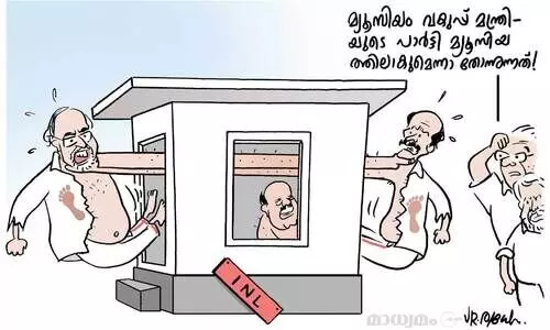 മ്യൂസിയം പീസ്