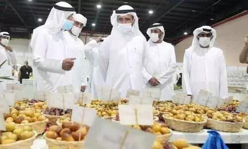 ദൈദ് ഈത്തപ്പഴോത്സവം ഇരട്ടിമധുരത്തോടെ സമാപിച്ചു