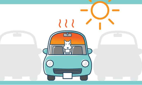 അടച്ചിട്ട കാറിൽ ഏഴു മണിക്കൂർ; നായ്​ ചത്തു