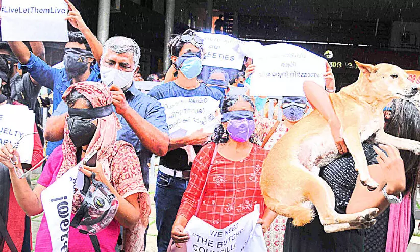 dog lovers dog lovers