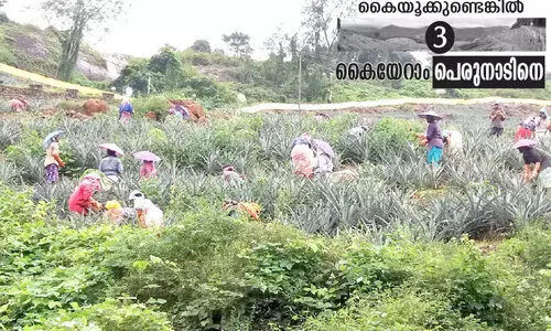 കൈ​യേ​റ്റ​ക്കാ​രി​ൽ കോ​ൺ​ഗ്ര​സ്, ബി.​ജെ.​പി, സി.​പി.​എം നേ​താ​ക്ക​ളും