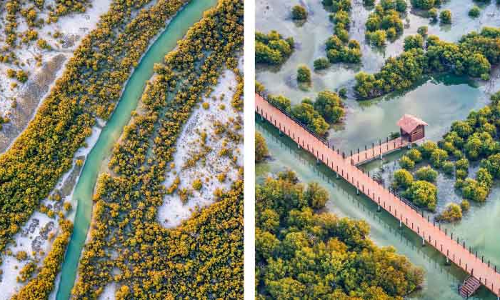 പച്ചപ്പും തണ്ണീർത്തടങ്ങളും; ഖത്തർ അതിമനോഹരം