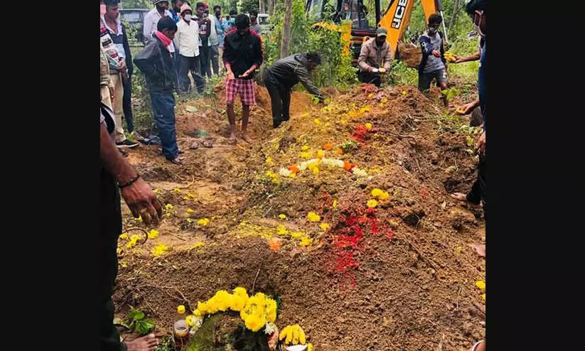 ഹാസനിൽ കുരങ്ങുകളെ കൂട്ടത്തോടെ വിഷം നൽകി കൊന്നു