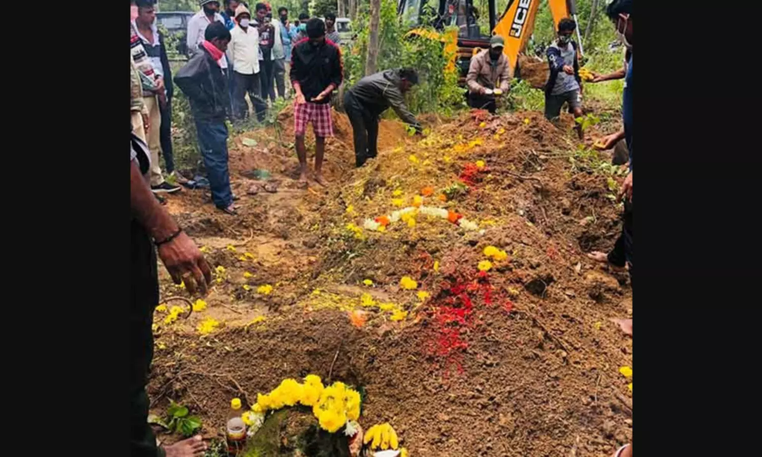 ഹാസനിൽ കുരങ്ങുകളെ കൂട്ടത്തോടെ വിഷം നൽകി കൊന്നു