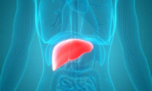 ഹെപ്പറ്റൈറ്റിസ് നേരത്തേ കണ്ടെത്തുന്നത് പ്രധാനം –ആരോഗ്യ മന്ത്രാലയം