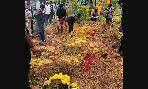 ഹാസനിൽ കുരങ്ങുകളെ കൂട്ടത്തോടെ വിഷം നൽകി കൊന്നു