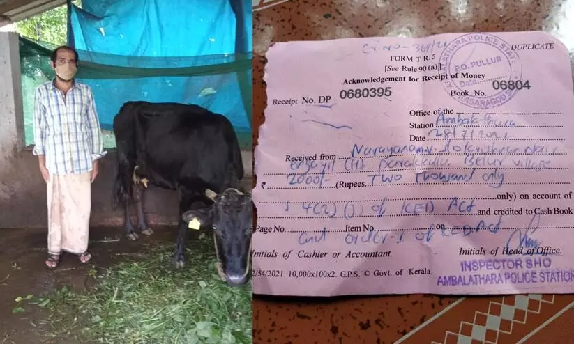 Kerala Farmer Covid Primary Contact Fined 2000 For Cutting Grass For Cow