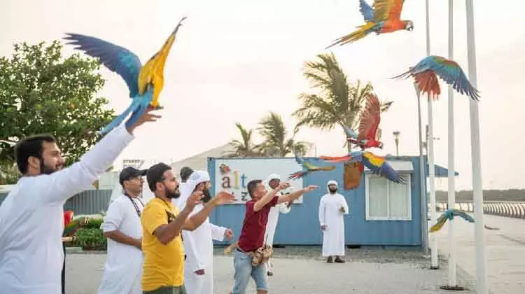 വര്‍ണ്ണ തത്തകളുടെ ലൈവ് പ്രദര്‍ശനവുമായി അജ്മാന്‍ ടുറിസം വകുപ്പ്