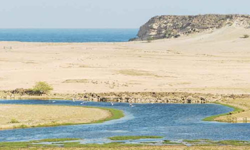 കടൽത്തീര ലഗൂണുകൾ, ദേശാടന പക്ഷികളുടെ പ്രിയതാവളങ്ങൾ