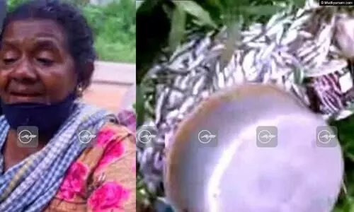 കണ്ണില്ലാത്ത പൊലീസിന്‍റെ ക്രൂരത; റോഡരികിലിരുന്നു കച്ചവടം ചെയ്ത വൃദ്ധയുടെ മത്സ്യം​ വലിച്ചെറിഞ്ഞു