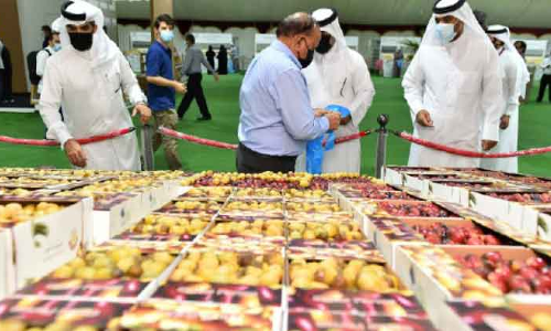 ഈത്തപ്പഴ ഫെസ്​റ്റിന്​ ഇന്ന്​ സമാപനം