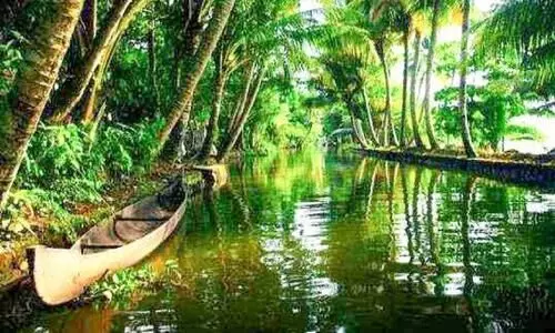 Arookutty Houseboat Terminal