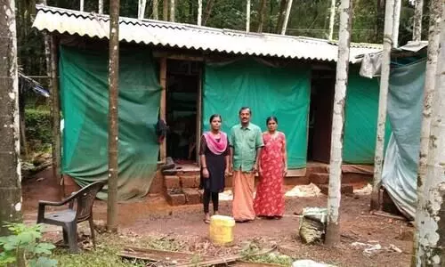 മണ്ണെണ്ണ വിളക്കിൽ എം.ഫിൽ വരെയെത്തി; അംബികയുടെ വീട്ടിൽ വൈദ്യുതി എന്നു​ കിട്ടും ​?