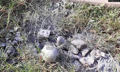 കല്ലായി​ റെയിൽ പാളത്തിൽ സ്​ഫോടക വസ്​തു