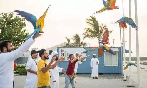 വര്‍ണ്ണ തത്തകളുടെ ലൈവ് പ്രദര്‍ശനവുമായി അജ്മാന്‍ ടുറിസം വകുപ്പ്