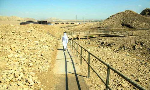 അവധിക്കാലത്ത്​ ഷാർജ പരിസ്ഥിതി സംരക്ഷിത മേഖലയിൽ എത്തിയത് 20,000 പേർ
