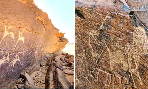 സൗ​ദി​യു​ടെ ച​രി​ത്രം പ​റ​യും ശി​ലാ​ചി​ത്ര​ങ്ങ​ളു​ടെ ചാ​രു​ത