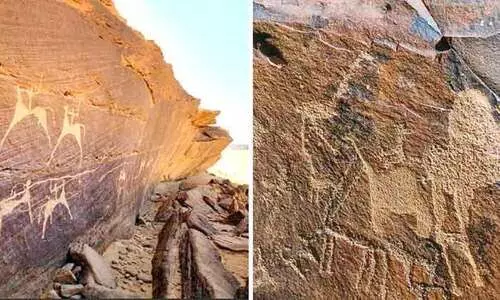 സൗ​ദി​യു​ടെ ച​രി​ത്രം പ​റ​യും ശി​ലാ​ചി​ത്ര​ങ്ങ​ളു​ടെ ചാ​രു​ത