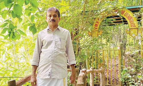 സ്വന്തമായി കാടൊരുക്കി; ഹരിതവ്യക്തി പുരസ്കാരനേട്ടത്തിൽ വി. മുഹമ്മദ് കോയ