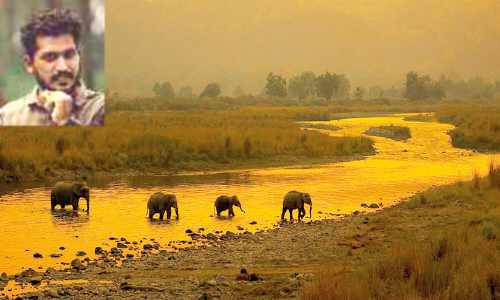 അഭിലാഷ് വിശ്വക്ക് ഫോട്ടോഗ്രഫിയിൽ വിശ്വ പുരസ്കാരം