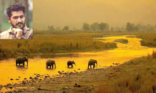 അഭിലാഷ് വിശ്വക്ക് ഫോട്ടോഗ്രഫിയിൽ വിശ്വ പുരസ്കാരം