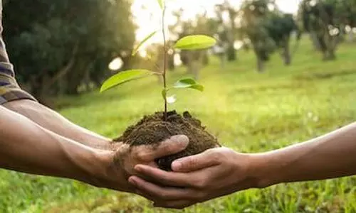 ജൈവവൈവിധ്യ സംരക്ഷണം:​ പത്തുവർഷത്തെ കർമപദ്ധതി തയാറാകുന്നു