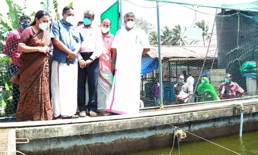 ഉള്നാടന് മത്സ്യമേഖലയില് ഉൽപാദനം വര്ധിപ്പിക്കും –മന്ത്രി സജി ചെറിയാന് ഉള്നാടന് മത്സ്യമേഖലയില് ഉൽപാദനം വര്ധിപ്പിക്കും –മന്ത്രി സജി ചെറിയാന്