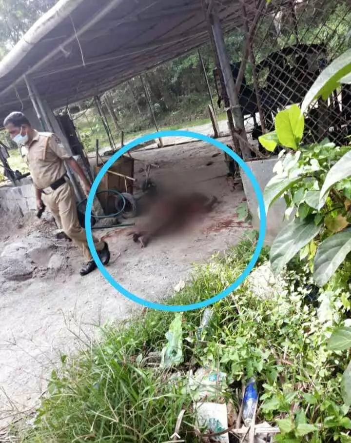 കാക്ക അനീഷ് ഗുണ്ടാ ആക്ട് പ്രകാരം മൂന്നുതവണ അകത്ത്; വിവിധ സ്റ്റേഷനുകളിൽ 28 കേസുകൾ! കാക്ക അനീഷ് ഗുണ്ടാ ആക്ട് പ്രകാരം മൂന്നുതവണ അകത്ത്; വിവിധ സ്റ്റേഷനുകളിൽ 28 കേസുകൾ!