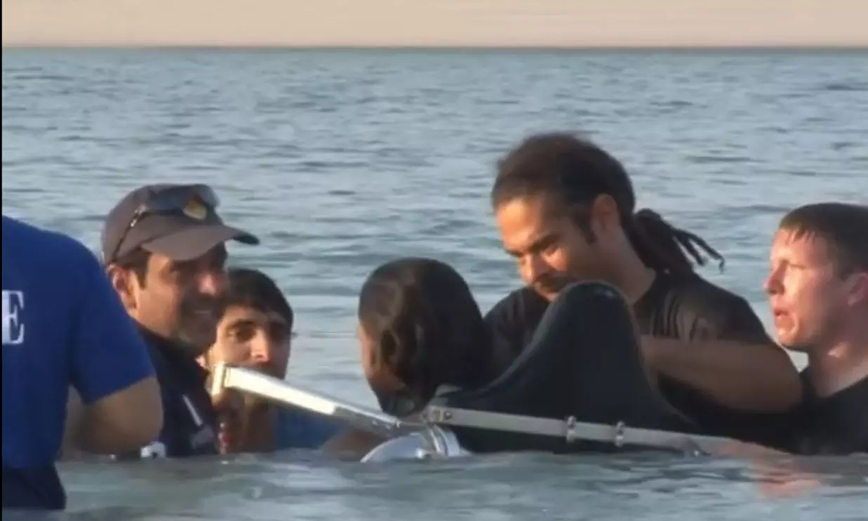 കടലിൽ അപകടത്തിൽപെട്ട സുഹൃത്തിനെ രക്ഷിക്കാൻ പാഞ്ഞെത്തി ശൈഖ് ഹംദാൻ; വീഡിയോ വൈറൽ കടലിൽ അപകടത്തിൽപെട്ട സുഹൃത്തിനെ രക്ഷിക്കാൻ പാഞ്ഞെത്തി ശൈഖ് ഹംദാൻ; വീഡിയോ വൈറൽ